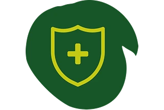 icon-shield-1